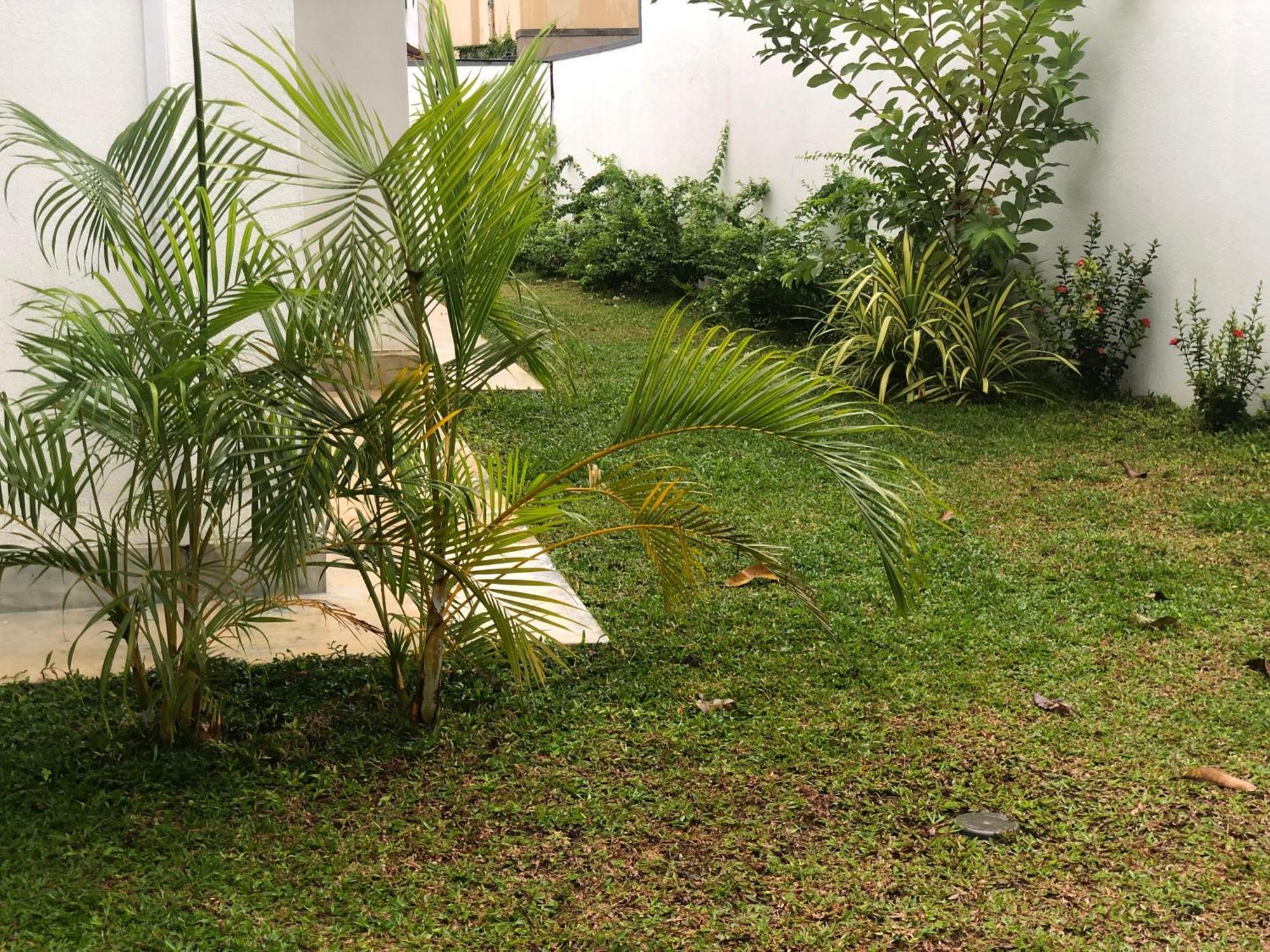 Luvi'S Villa Galle Exterior foto